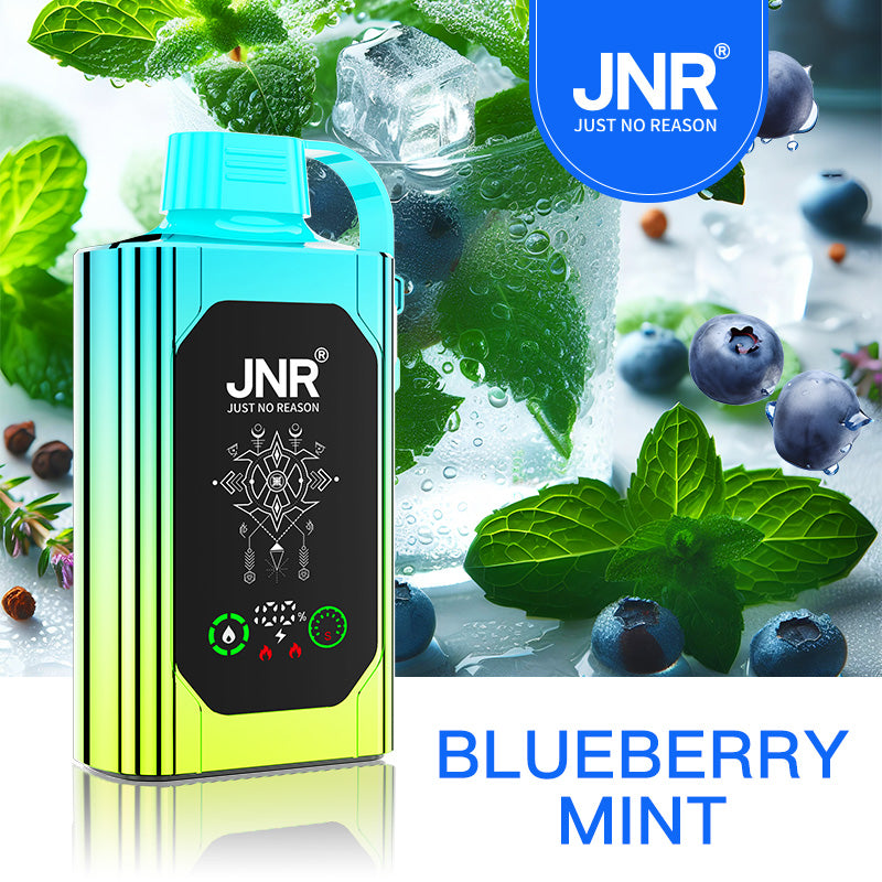 (5-boxes)JNR Shisha Hookah Box 30K Disposable Vape-Blueberry Mint
